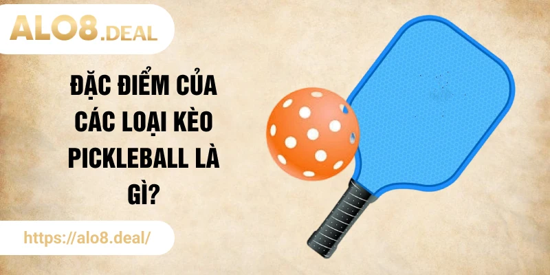 Đặc điểm của các loại kèo Pickleball là gì?