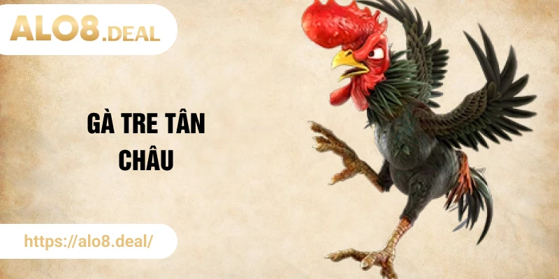gà tre Tân Châu