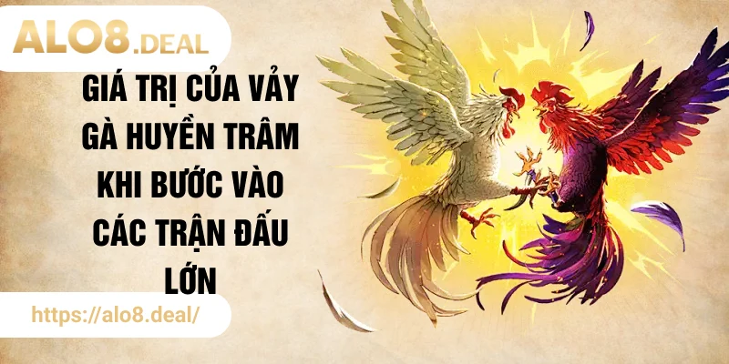 Giá trị của vảy gà huyền trâm khi bước vào các trận đấu lớn