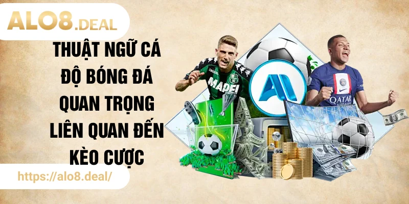 Thuật ngữ cá độ bóng đá quan trọng liên quan đến kèo cược