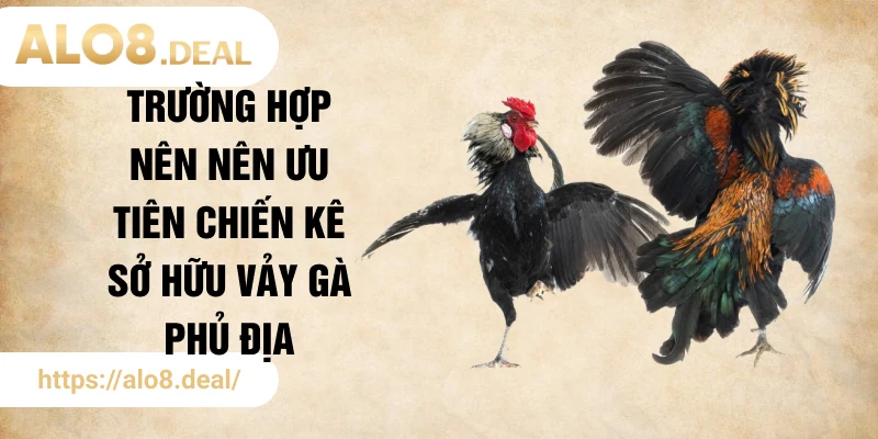 Trường hợp nên nên ưu tiên chiến kê sở hữu vảy gà phủ địa