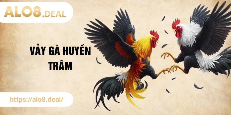 vảy gà huyền trâm