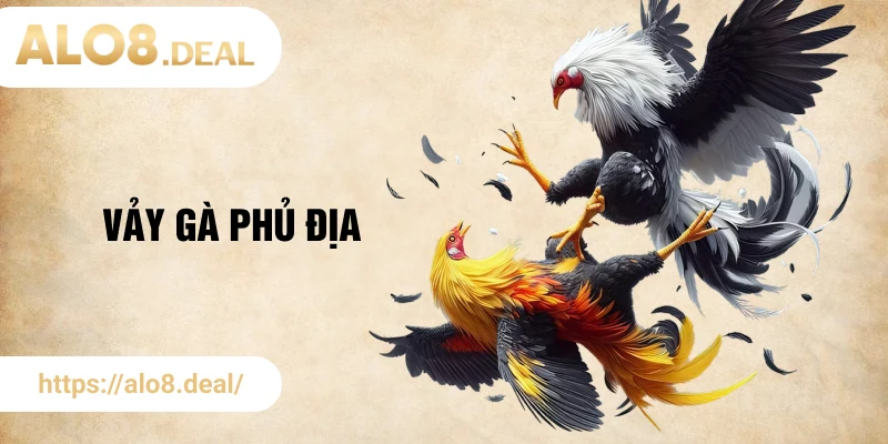 vảy gà phủ địa